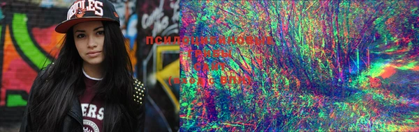 mdma Нефтекумск