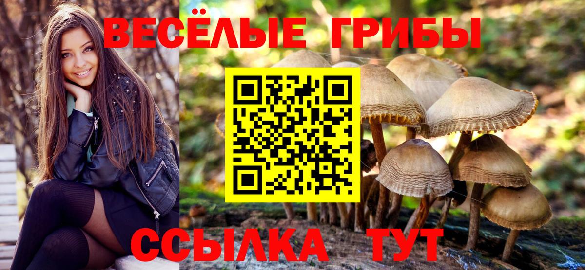 Галлюциногенные грибы прущие грибы Мегион