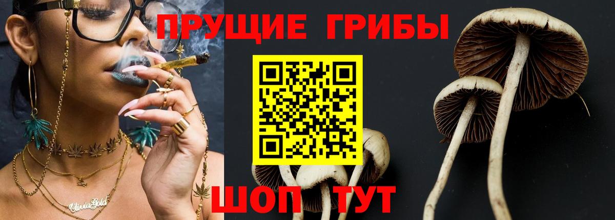 Псилоцибиновые грибы Cubensis  Вход с VPN  Мегион  Псилоцибиновые грибы ЛСД 